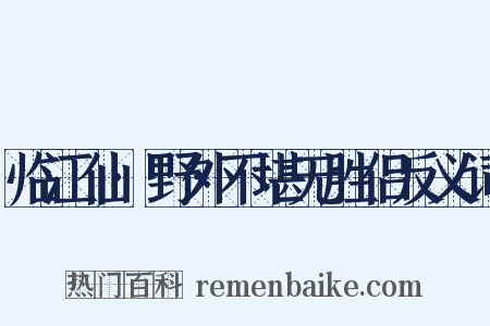 临江仙·野外不堪无胜侣反义词是什么意思的图片